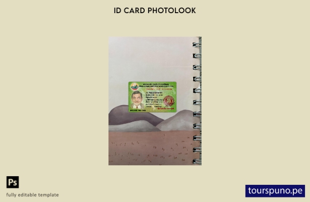 listo para imprimir plantilla frontal de aspecto fotográfico del documento de id
